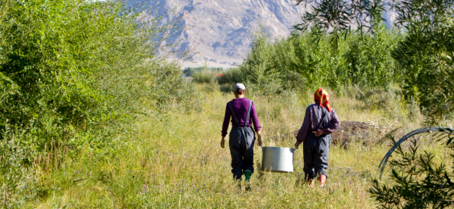 Harmonizing international environmental policies and agreements