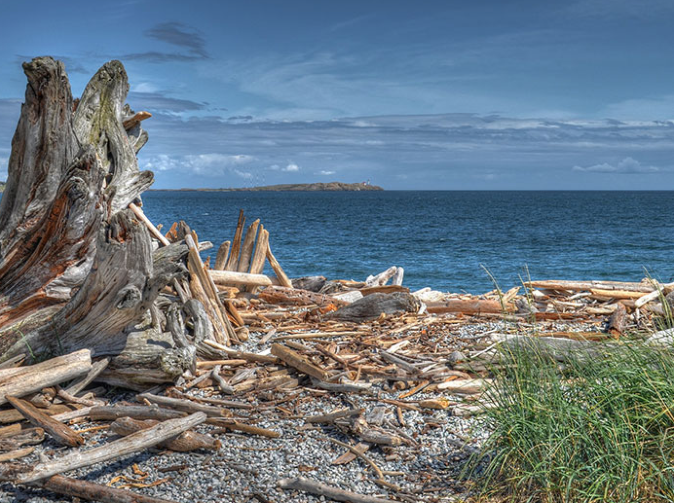 Regional data management system