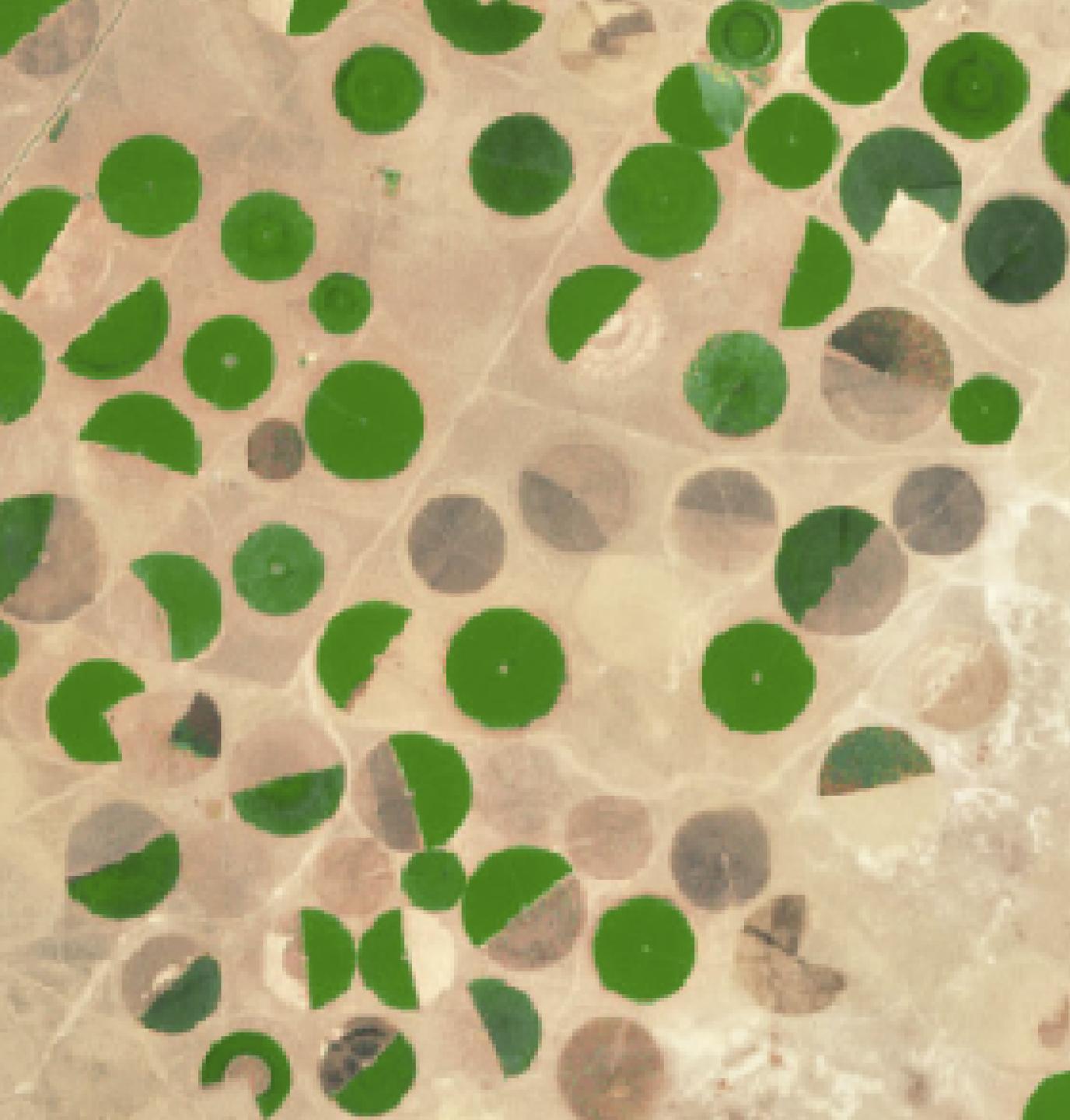 Regenerative and sustainable land use